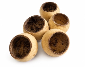 Bell Cups for Reptile Terrariums, Pack of 5