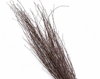 4 ft Natural Birch Branches – Bunch of 6