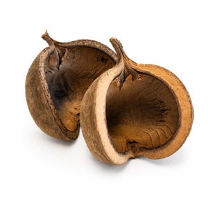 Peut inclure: Deux moitiés d'une coque de graine brune, peut-être une coquille de noix ou de fruit, sont présentées sur fond blanc. Les coques ont un extérieur rugueux et texturé et un intérieur lisse et de couleur claire. Les moitiés sont ouvertes, révélant l'intérieur.