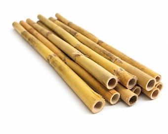 Small River Cane Sticks for Reptile Terrariums, Pack of 10