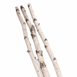 Natural Birch Poles, 4 Foot Set of 4