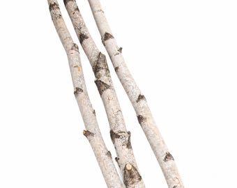 Natural Birch Poles, 4 Foot Set of 4