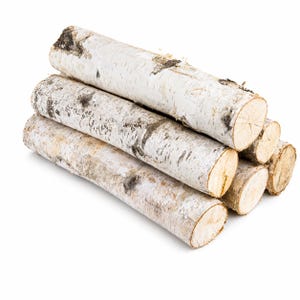 Postes de abedul natural, 45 cm (18 pulgadas), juego de 6