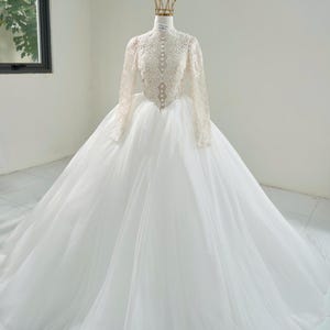 Romantic Tulle Ball Gown Wedding Dress – High Neck Lace Bodice with Beaded Long Sleeves, Embroidered Lace Skirt Detail, winter wedding gown
