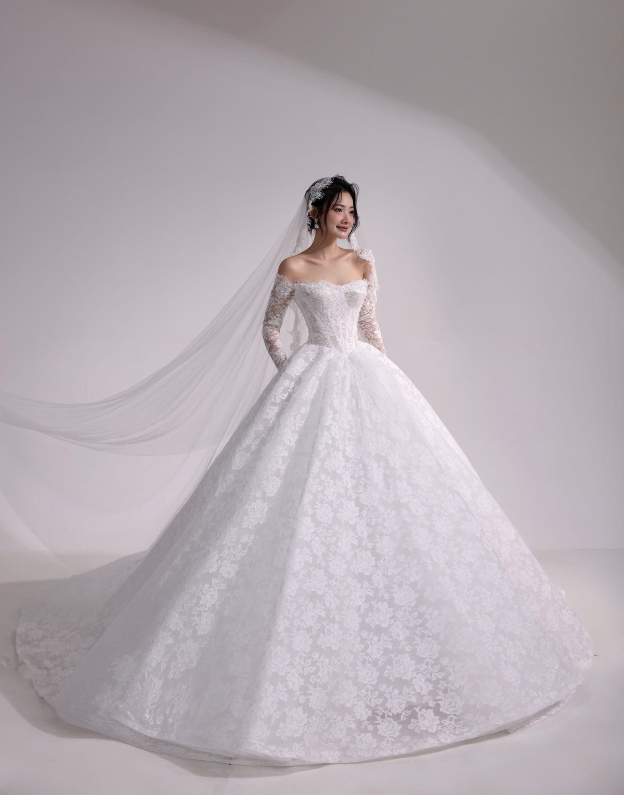 Elegant Lace ball gown wedding dress with long sleeves, Free veil as small gift, Off showder princess gown, customized, Lisa Bridal Boutique