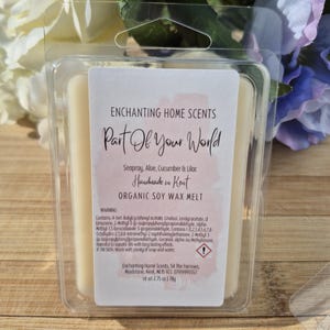 Seaspray, Aloe, Cucumber & Lilac &quot;Part Of Your World&quot; Soy Wax Melt Clamshell | Soy Wax | Vegan | Highly Scented Wax Melts | Unique Fragrance