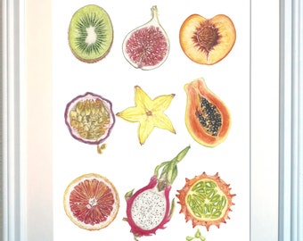 Acuarela de frutas tropicales Lámina artística