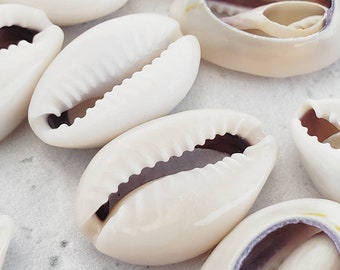 25pcs Cut Cowrie Shells, Natural Ring Top White Cowrie Shell Charms, Sliced Cowrie Shells