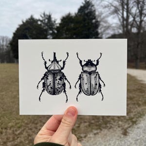 Eastern Hercules Beetles (Male and Female) Giclee Fine Art Print
