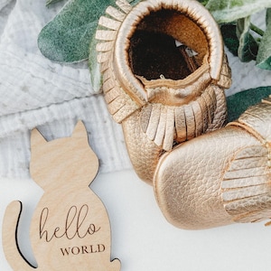 Wooden Monthly Milestone Cat For Baby Photos | Monthly Cat Lover Milestone Marker | Baby Gift for Cat Lover | Kitten Milestone Cards