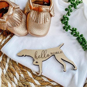 Dog Nursery Vizsla Monthly Milestone Plaques | Baby Shower Gift | Vizsla Dog Newborn Baby Gift for Dog Nursery