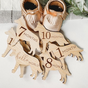 Dog Nursery German Shepherd Monthly Milestone Plaques | Baby Shower Gift | Custom German Shepherd Newborn Baby Gift for Dog Nursery Dog Mom