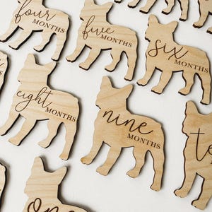 Dog Nursery French Bulldog Monthly Milestone Plaques | Baby Shower Gift | French Bulldog Newborn Baby Gift for Dog Nursery | Dog Mom Gift