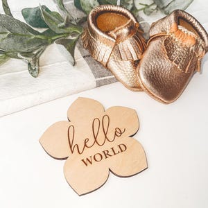 Floral Nursery Girly Monthly Milestone Plaques | Baby Girl Shower Gift | Custom Floral  Newborn Baby Gift for Flower Nursery | Hello World