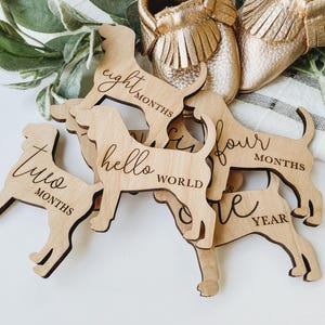 Dog Nursery Beagle Monthly Milestone Plaques | Baby Shower Gift | Custom Beagle Newborn Baby Gift for Dog Nursery | Dog Mom Gift for Baby