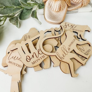Jungle Nursery Monthly Milestone Plaques | Jungle Baby Shower Gift | Custom Jungle Newborn Baby Gift for Jungle Nursery | Newborn Mom Gift