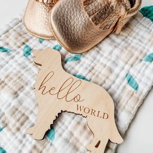 Dog Nursery Golden Retriever Monthly Milestone Plaques | Baby Shower Gift | Custom Golden Retriever Newborn Baby Gift for Dog Nursery