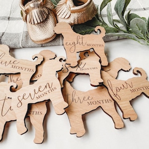 Dog Nursery Goldendoodle Monthly Milestone Plaques | Baby Shower Gift | Custom Goldendoodle Newborn Baby Gift for Dog Nursery | Dog Mom Gift