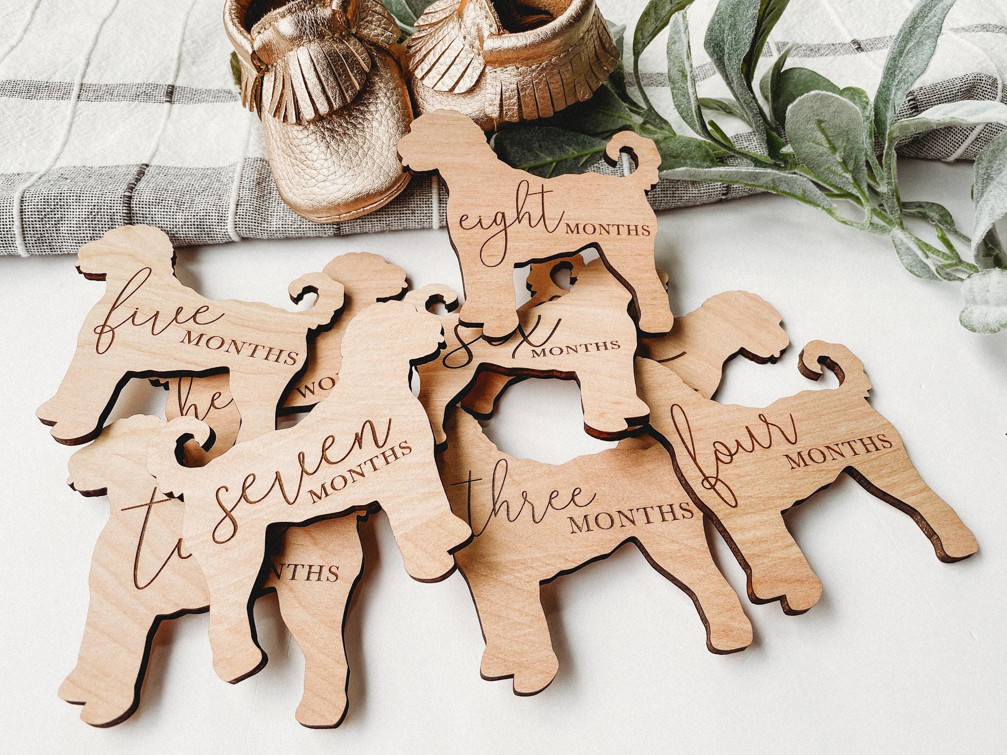 Dog Nursery Goldendoodle Monthly Milestone Plaques | Baby Shower Gift | Custom Goldendoodle Newborn Baby Gift for Dog Nursery | Dog Mom Gift