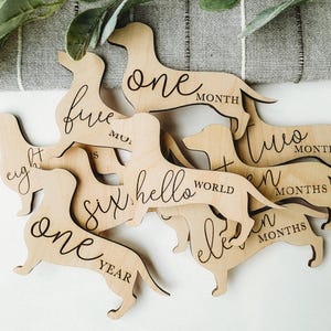 Dog Nursery Dachshund Monthly Milestone Plaques | Baby Shower Gift | Dachshund Newborn Baby Gift for Dog Nursery | Dog Mom Gift for Baby