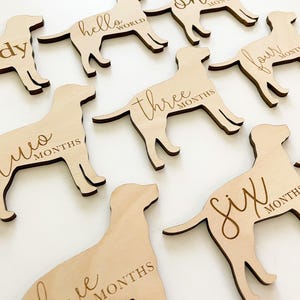 Dog Nursery Labrador Monthly Milestone Plaques | Baby Shower Gift | Custom Labrador Newborn Baby Gift for Dog Nursery | Dog lover Gift