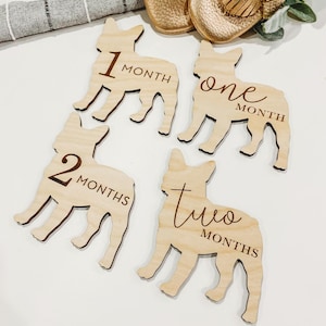 Dog Nursery Frenchie Monthly Milestone Plaques | Baby Shower Gift | Frenchie Newborn Baby Gift for Dog Nursery | Dog Mom Gift for New Baby