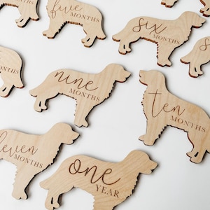 Dog baby milestone markers, wooden monthly photo props, pet lover baby gift, puppy themed baby keepsake, dog nursery decor