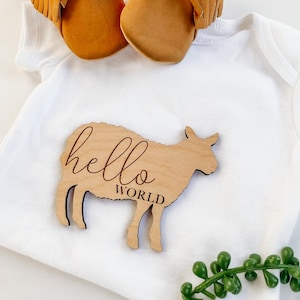 Farm Animal Theme Nursery Baby Milestone Cards  | Baby Shower Gift | Personalized Newborn Gift for New Mom | Custom Monthly Milestone Marker