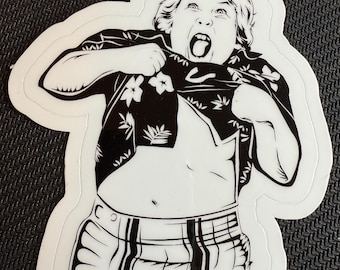 Goonies Vinyl Sticker: Water-Resistant Die-Cut Decal