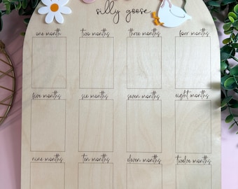 "Eine ""Alberne Gans"" Fototafel, erster Geburtstag Party Dekor, Dumme Gans Geburtstagsthema, personalisierte erste Geburtstags-Fototafel für Jungen oder Mädchen."