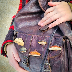 5-Teiliges Holzpilz Set - Echte Pilze aus Polypore Holz | Natur Broschen Kollektion