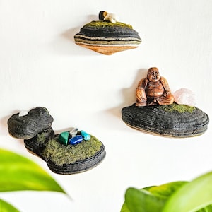Rustic Mushroom Wall Shelf Set: Foraged Phellinus Conk, Witchcore Decor