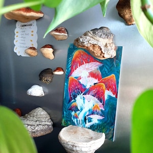 Magnete da frigo a forma di fungo – Decorazione per la cucina in stile cottagecore – Regalo in vero legno di bosco con struttura in poliporo