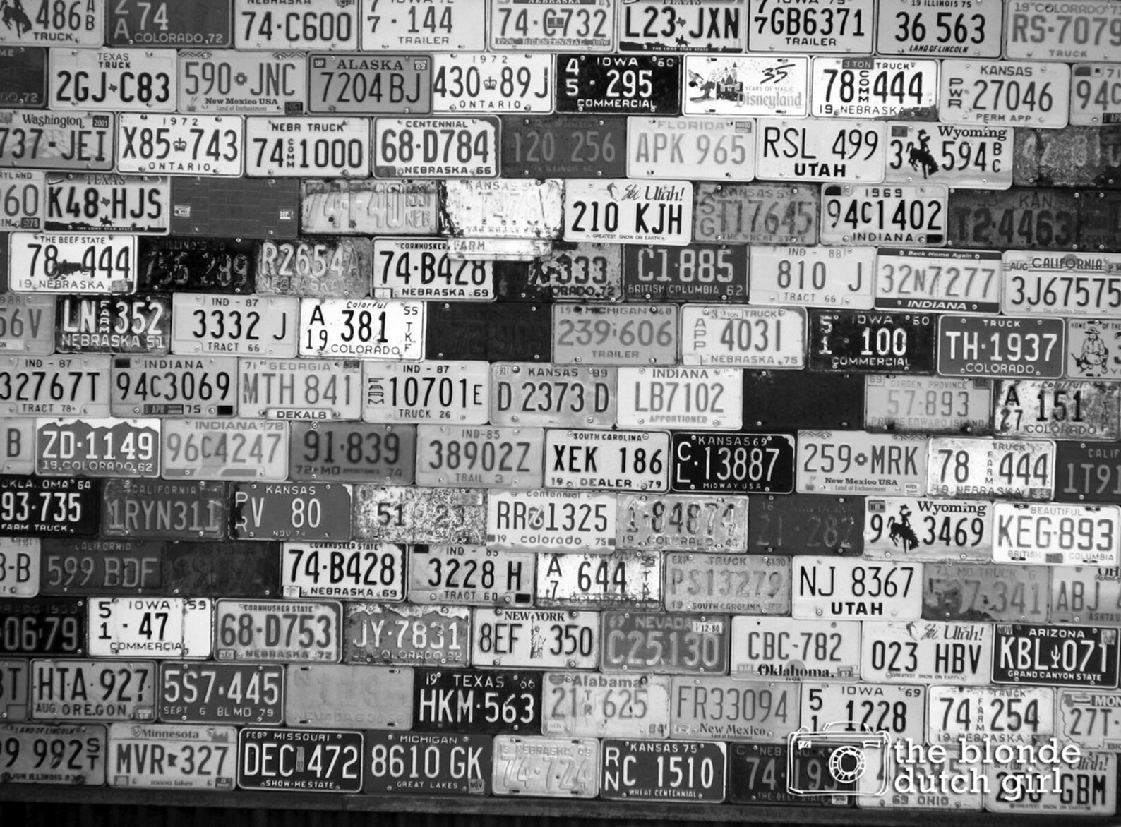 State License Plate Wall in Colorado Ghost Town photo - Etsy