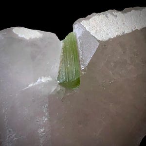 May include: A raw mineral specimen featuring a translucent, light green, vertically striated crystal embedded within a larger, opaque, off-white quartz matrix. The crystal displays a distinct prismatic structure set between two segments of the stone.