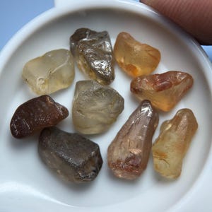 Könnte beinhalten: Eine Ansammlung von acht kleinen, rohen, ungeschliffenen Edelsteinen in einer weißen Kunststoffschaufel. Die Steine variieren in der Farbe, von durchscheinendem Hellgelb und Hellbraun bis hin zu tiefem Bernstein, Rotbraun und Dunkelgrau.