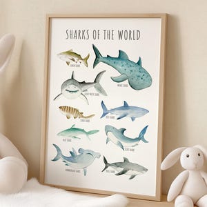 Haifisch Wand Kunst druckbare Hai Karte Poster, Haifisch Kinderzimmer Kunstwerk, Ozean Kinderzimmer Dekor Jungenzimmer Bild, Kinderzimmer Download 03A