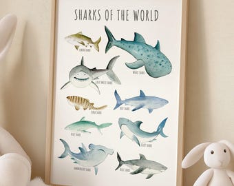 Sharks Wall Art, Printable Shark Chart Poster, Ocean Kid's Room Decor, Marine Picture, 03A