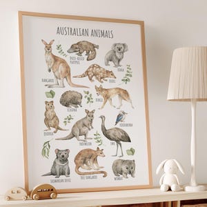 Printable Australian Animals Wall Art Animals in Australia Poster, Boy's Room Decor, Aus Animal Nursery Art, Animal Kids Room Artwork, 04A