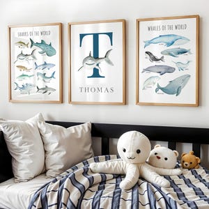 May include: Three framed prints with a nautical theme. The left print features a variety of sharks with the title "Sharks of the World". The middle print features a blue letter "T" with a shark inside and the name "Thomas" below. The right print features a variety of whales with the title "Whales of the World".