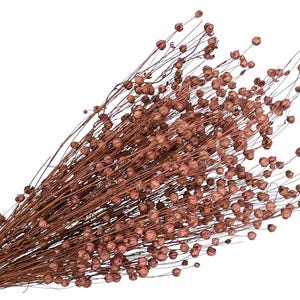 Lino seco malva (100 g): relleno rústico para ramos de boda, flores secas naturales para decoración del hogar, manualidades y arreglos florales.