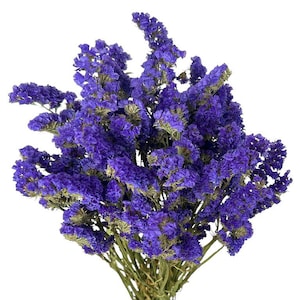 May include: A bundle of dried statice flowers, featuring vibrant purple blooms. The flowers have a textured appearance and are clustered together, with green stems at the base. The background is plain white.