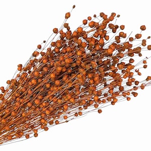 Lino seco de naranja (100 g), flores secas preservadas, ramo rústico, decoración de bodas, flores preservadas, decoración del hogar, arreglo de corona