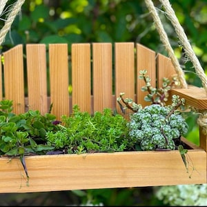 May include: A miniature wooden swing chair planter with a variety of green succulents and plants growing inside. The swing is made of natural wood and is hanging from a rope.