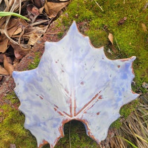 May include: A ceramic leaf-shaped dish with a light blue and white glaze. The dish has a detailed vein pattern and a brown rim. The dish is resting on a bed of green moss and brown leaves.