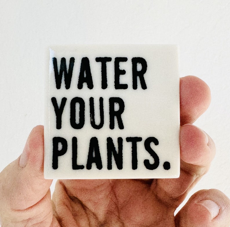 water your plants ceramic magnet fridge magnet inspirational quote daily reminder daily affirmation image 1