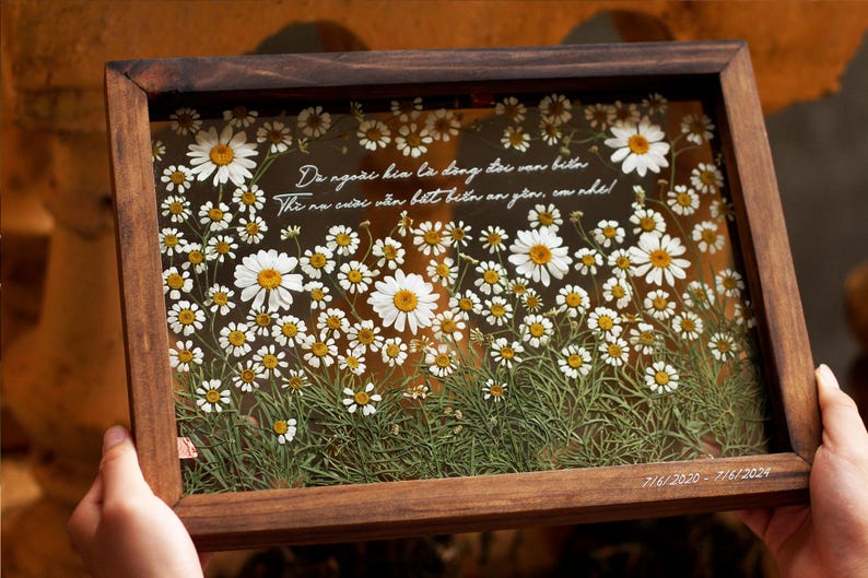 May include: A wooden frame with a glass front containing pressed white daisies and green foliage. The frame has a white inscription that reads "Da ngo&agrave;i kia l&agrave; dang đọc van bila The na cước vẫn biết biến an ytor, com nhe!" and the date "7/6/2020 - 7/6/2024".