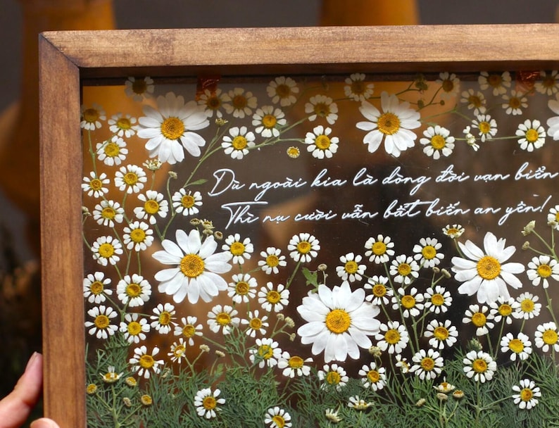 May include: A framed pressed flower art piece with white daisies and green stems. The quote "D&ugrave; ngo&agrave;i kia l&agrave; d&ograve;ng đời vạn biển Th&igrave; nụ cười vẫn bất biến an y&ecirc;n!" is written in white on a brown background.