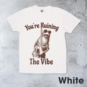May include: White t-shirt with a brown illustration of a frog wearing sunglasses and holding a pole. The text "You're Ruining The Vibe" is above the frog. The word "White" is at the bottom.