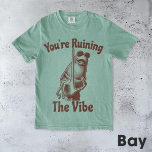 May include: A light green t-shirt with the text "You're Ruining The Vibe" and a brown illustration of a frog wearing sunglasses. The word "Bay" is printed in the bottom right corner.